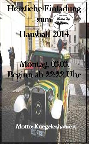 Hausball 2014